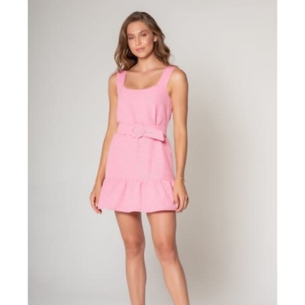 Lavender Brown Pink‎ Belted Mini Dress Size Large NWT